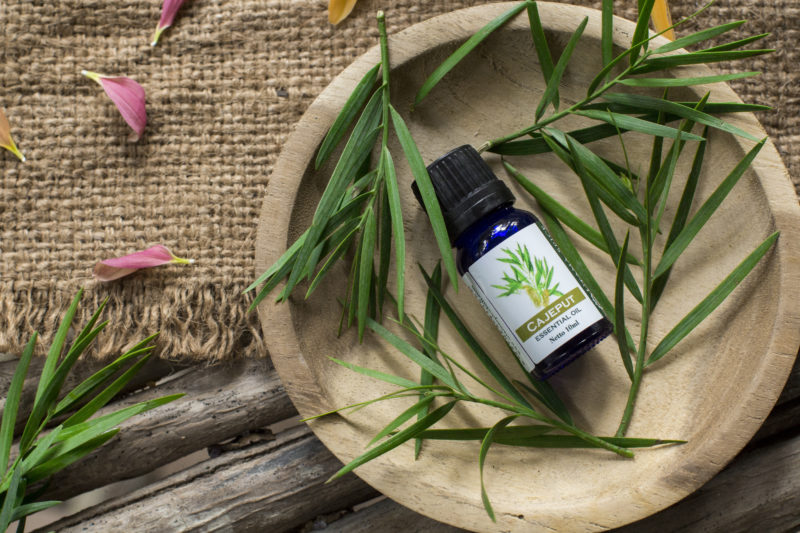 Essential oils cajeput - Utama Spice