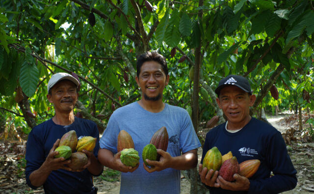 Dari K, petani kakao di Sulawesi