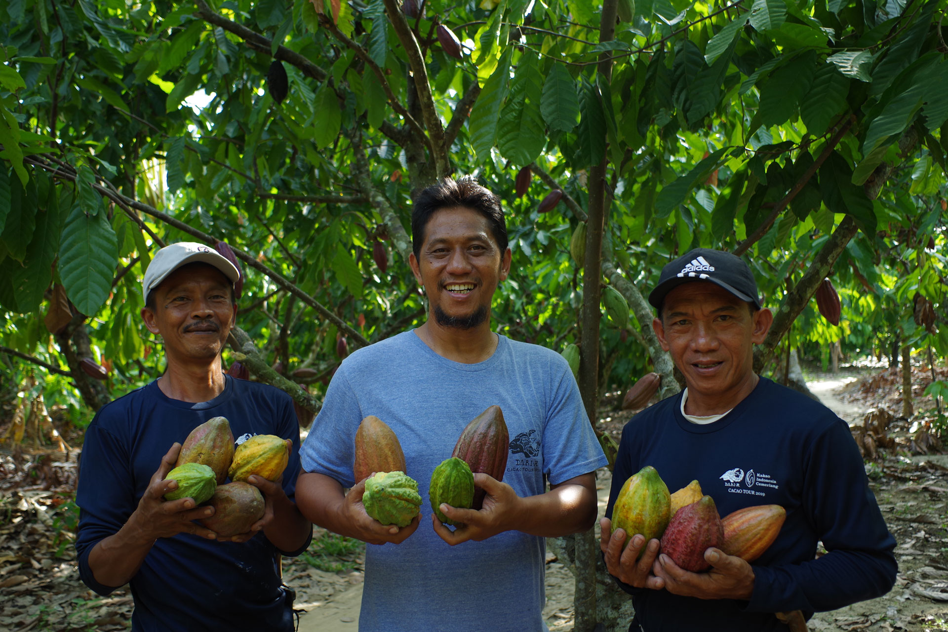 Dari K, petani kakao di Sulawesi