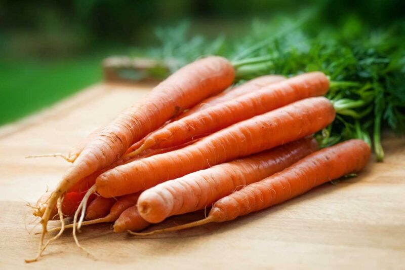 wortel sayur